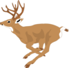 Leaping Deer Side View Clip Art